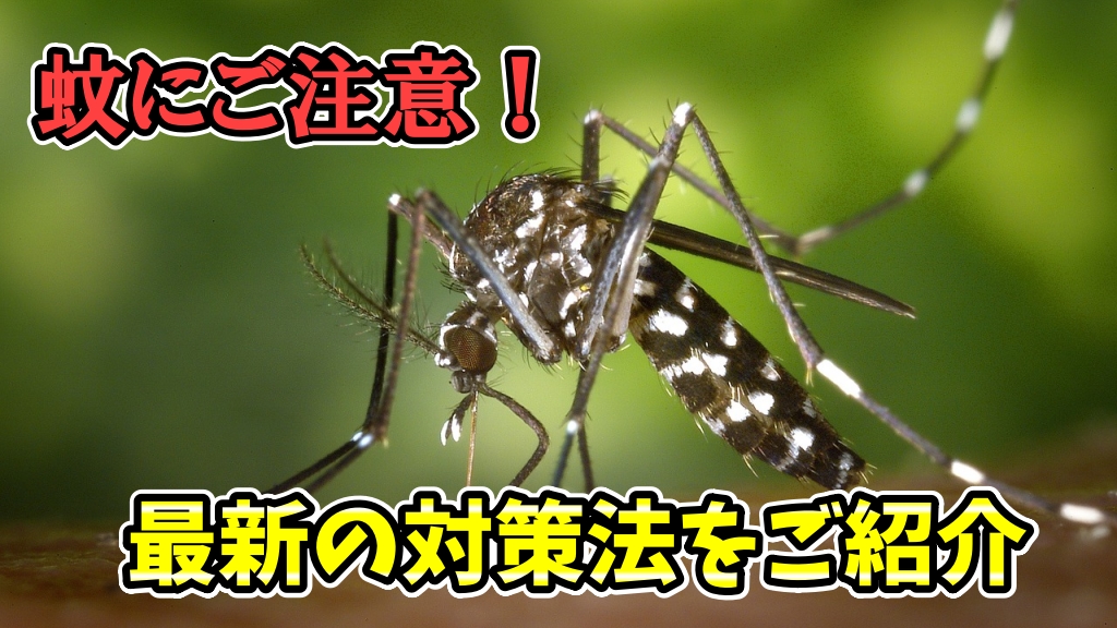 「頭をかゆがらせる蚊にご注意！」最新の対策法をご紹介♪